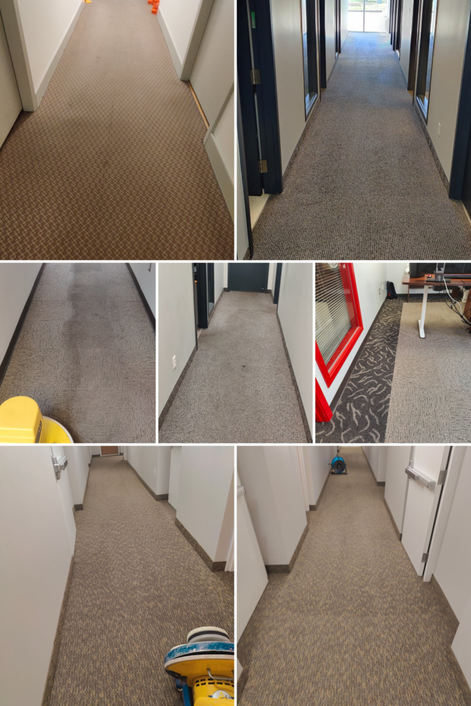 Professional Carpet Cleaning Airdrie