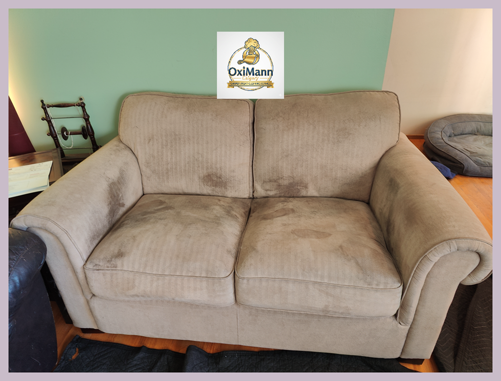 upholstery cleaning before picture in calgary nw